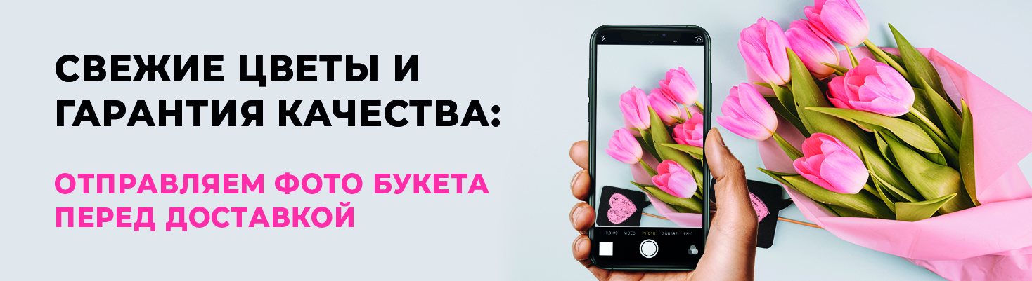 Баннер 15